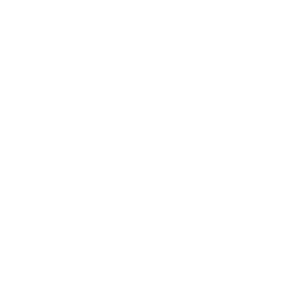 winner-best-director