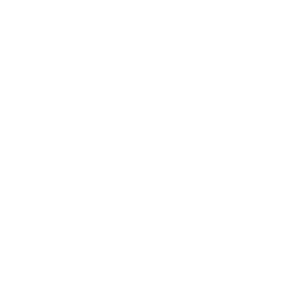 winner-film-festival